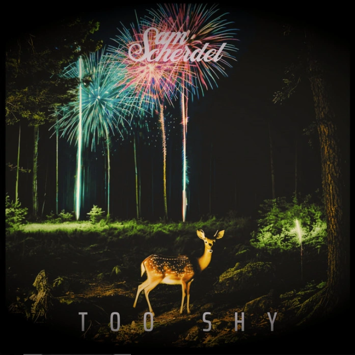 Sam Scherdel Too Shy artwork