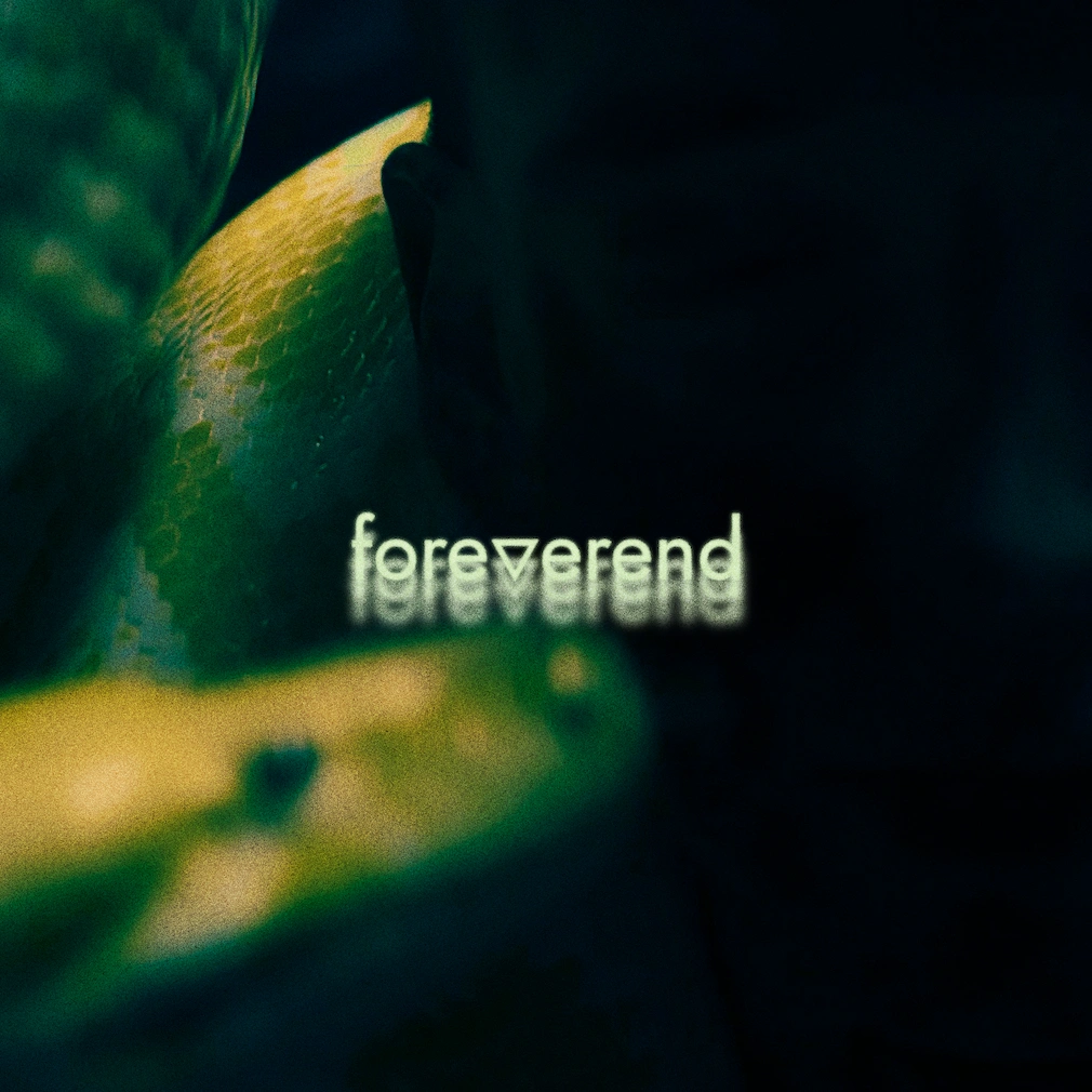 newshapes foreverend artwork